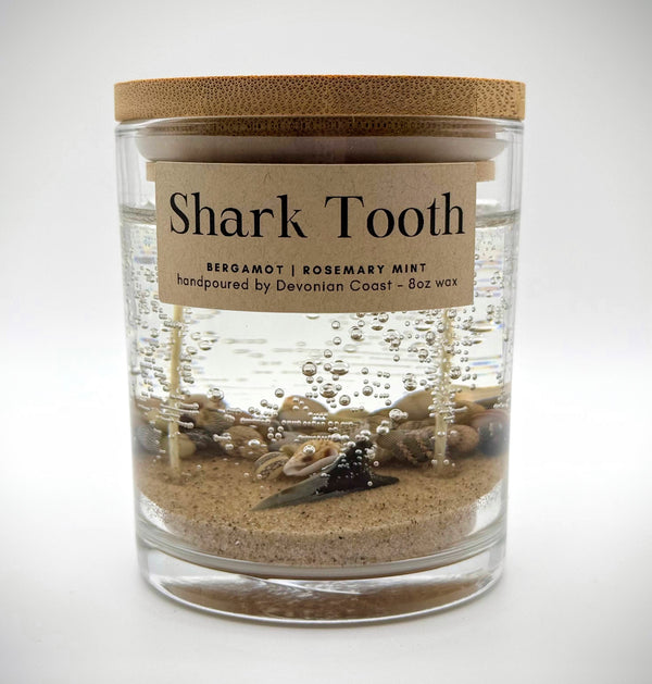 Double Wick Shark Tooth Fossil Beach Gel Candle | Includes Real Shark Tooth!