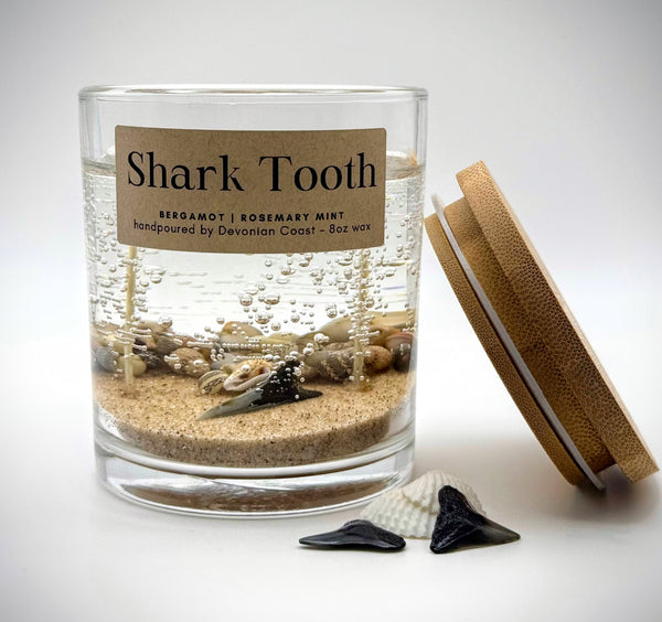 Double Wick Shark Tooth Fossil Beach Gel Candle | Includes Real Shark Tooth!