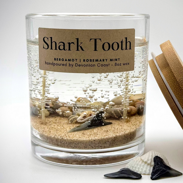 Double Wick Shark Tooth Fossil Beach Gel Candle | Includes Real Shark Tooth!