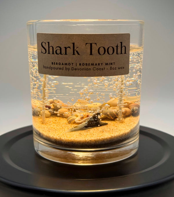 Double Wick Shark Tooth Fossil Beach Gel Candle | Includes Real Shark Tooth!