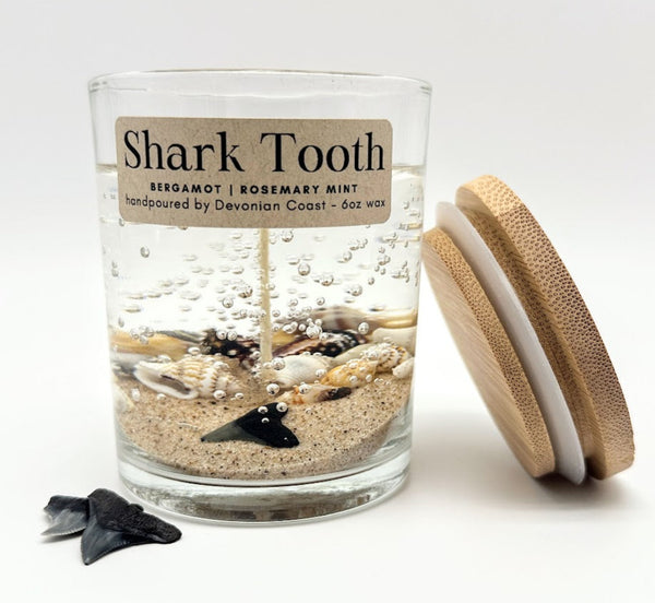 1-Wick Shark Tooth Fossil Beach Gel Candle | Includes Real Shark Tooth!