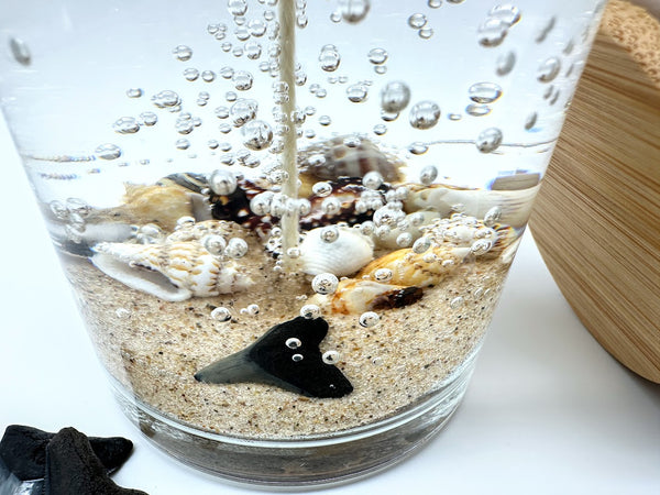 1-Wick Shark Tooth Fossil Beach Gel Candle | Includes Real Shark Tooth!