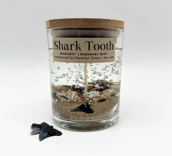 1-Wick Shark Tooth Fossil Beach Gel Candle | Includes Real Shark Tooth!