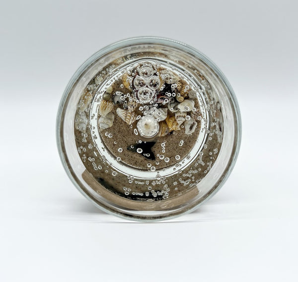 1-Wick Shark Tooth Fossil Beach Gel Candle | Includes Real Shark Tooth!