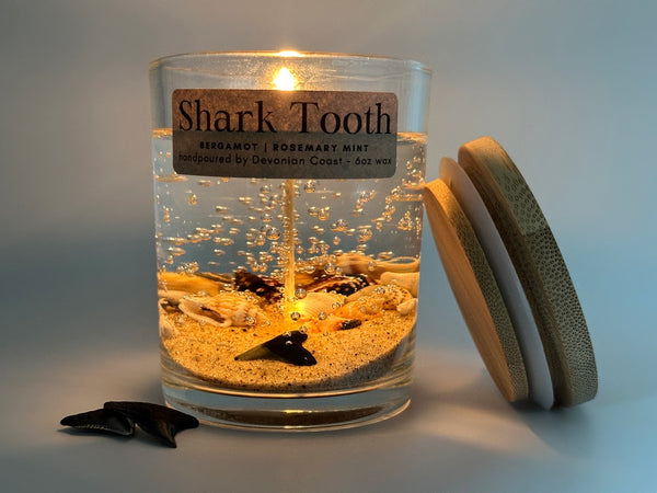 1-Wick Shark Tooth Fossil Beach Gel Candle | Includes Real Shark Tooth!