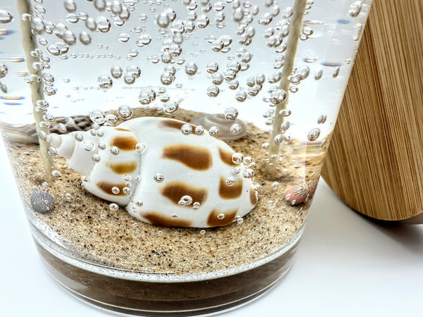 Double Wick Sea Shell Ocean Beach Clear Gel Candle