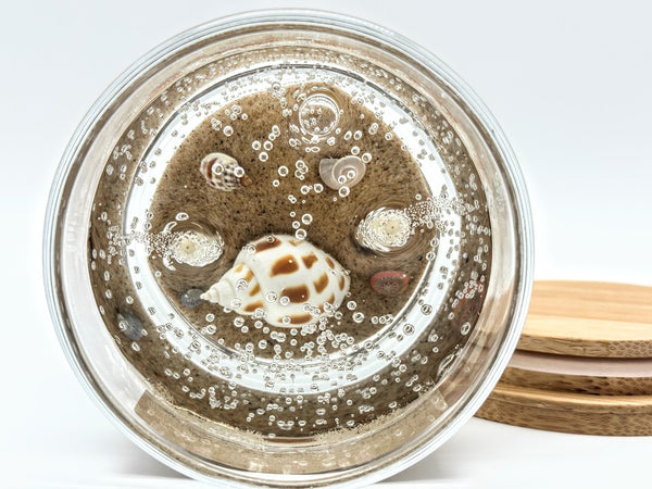 Double Wick Sea Shell Ocean Beach Clear Gel Candle