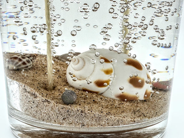 Double Wick Sea Shell Ocean Beach Clear Gel Candle