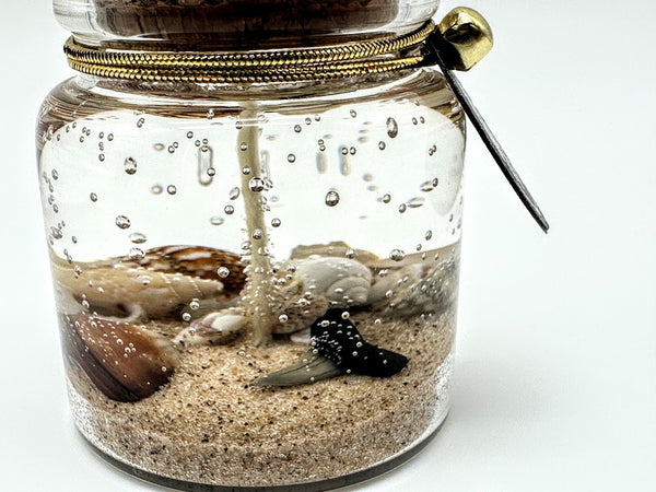 MINI Shark Tooth Fossil Beach Gel Candle | Includes Real Shark Tooth!