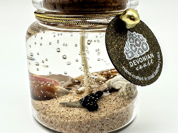 MINI Shark Tooth Fossil Beach Gel Candle | Includes Real Shark Tooth!