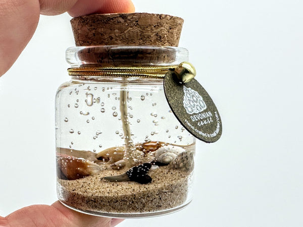 MINI Shark Tooth Fossil Beach Gel Candle | Includes Real Shark Tooth!