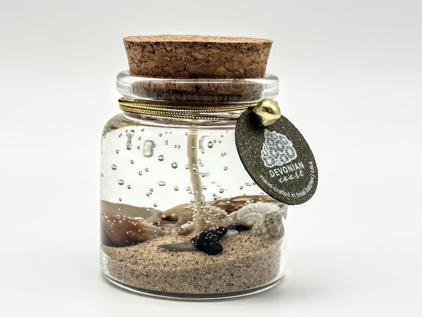 MINI Shark Tooth Fossil Beach Gel Candle | Includes Real Shark Tooth!