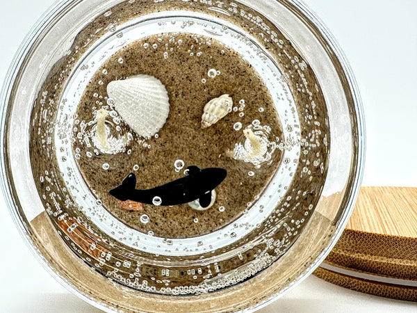 Double Wick Orca Killer Whale Ocean Beach Clear Gel Candle