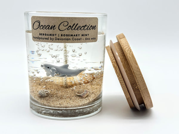 1-Wick Dolphin Beach Gel Candle