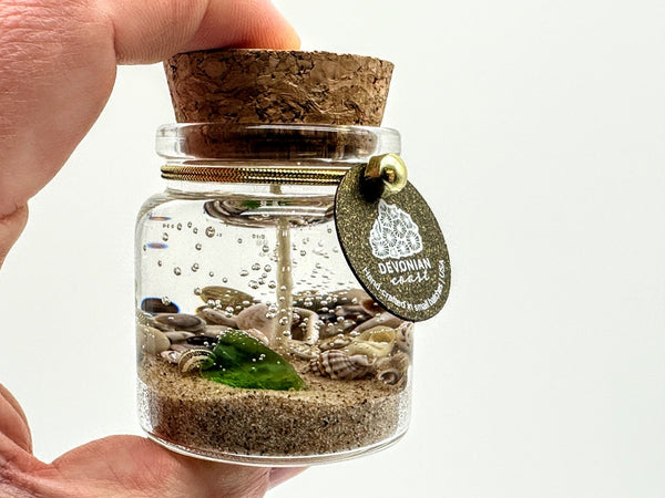 MINI Sea Glass Beach Gel Candle
