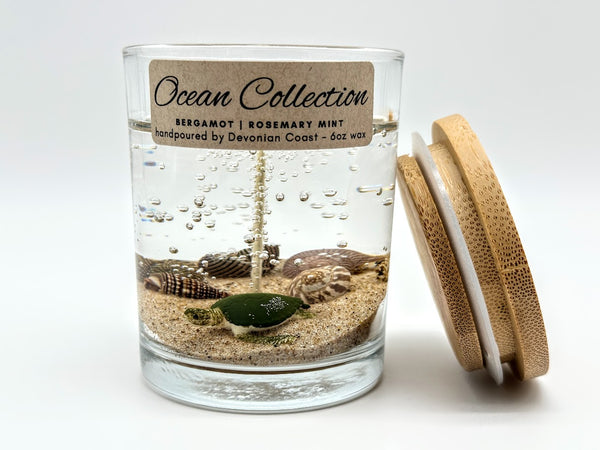 1-Wick Sea Turtle Beach Gel Candle