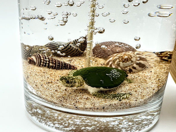 1-Wick Sea Turtle Beach Gel Candle