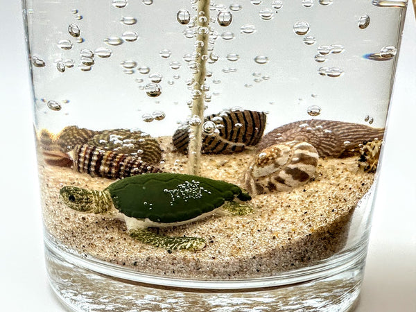 1-Wick Sea Turtle Beach Gel Candle