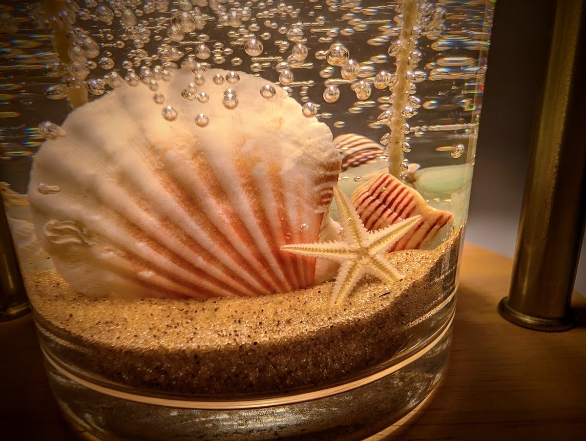 Sea Shell Treasure Candle — Ocean Collection – DevonianCoast