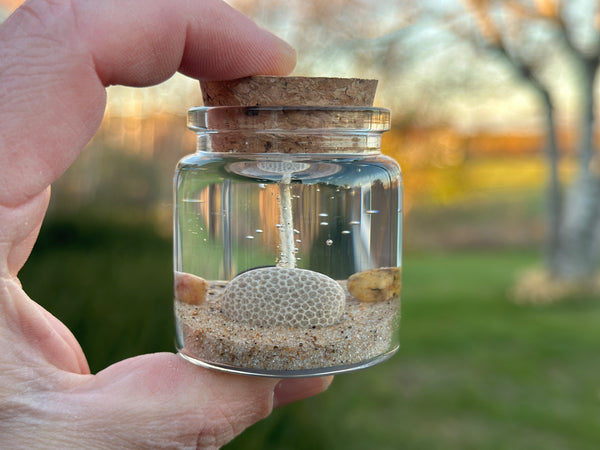 Lake Michigan Charlevoix Stone Gel Candle Finger