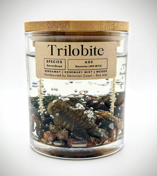 Trilobite Fossil Gel Candle | Includes Real Fossil!