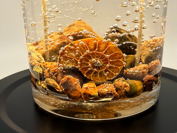 Ammonite Fossil Gel Candle | Includes Real Fossil!