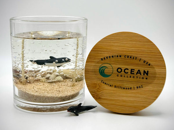 Orca Killer Whale Ocean Beach Clear Gel Candle