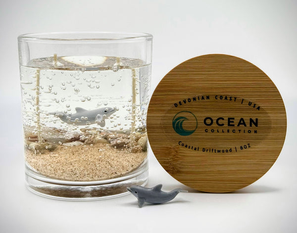 Dolphin Ocean Beach Clear Gel Candle