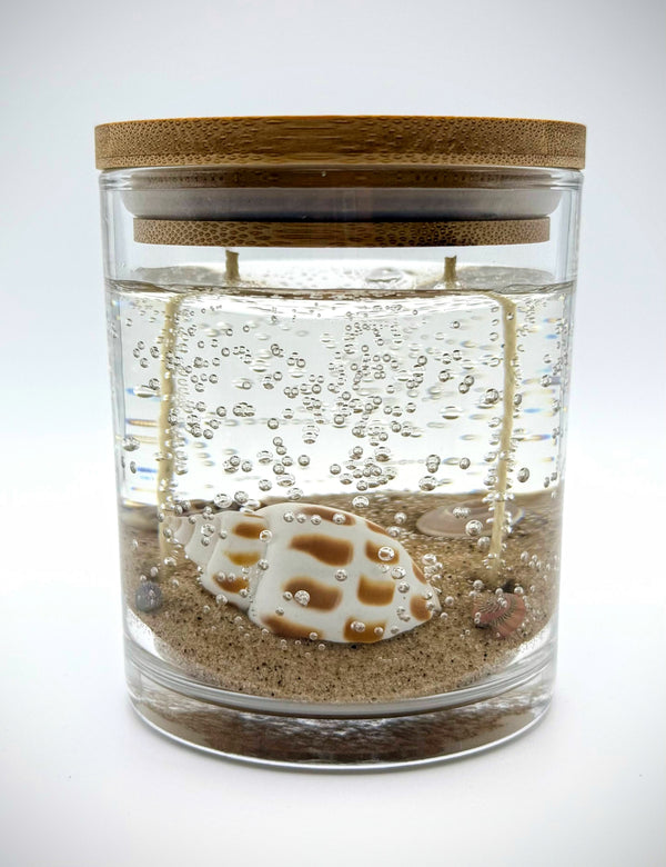 Sea Shell Ocean Beach Clear Gel Candle