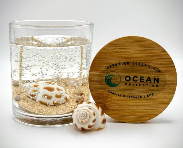 Sea Shell Ocean Beach Clear Gel Candle