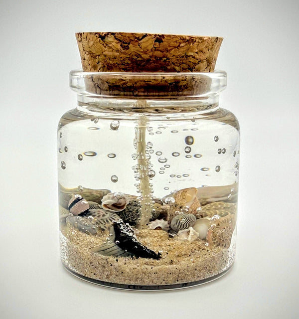 Shark Tooth Fossil Beach Gel Candle (MINI) | Includes Real Shark Tooth!