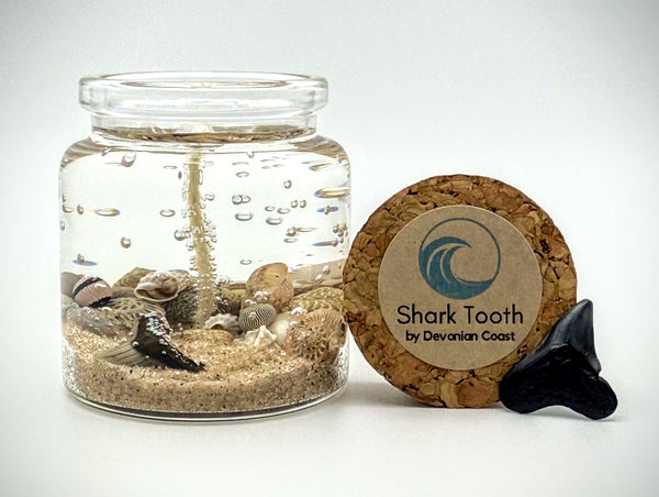 Shark Tooth Fossil Beach Gel Candle (MINI) | Includes Real Shark Tooth!