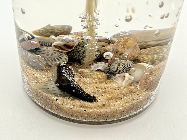 Shark Tooth Fossil Beach Gel Candle (MINI) | Includes Real Shark Tooth!