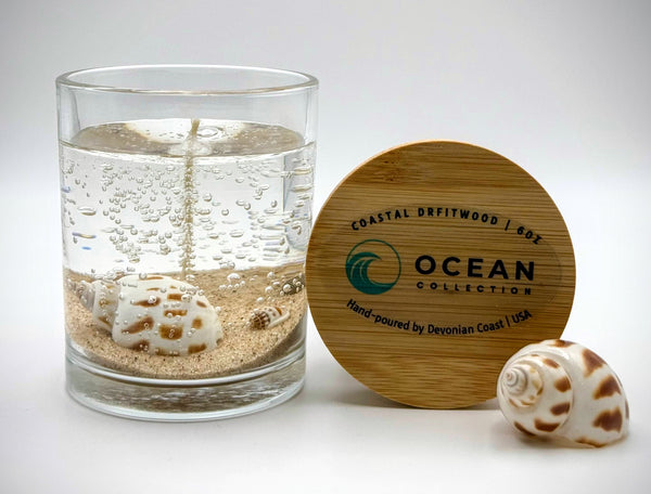 Sea Shell Ocean Beach Clear Gel Candle