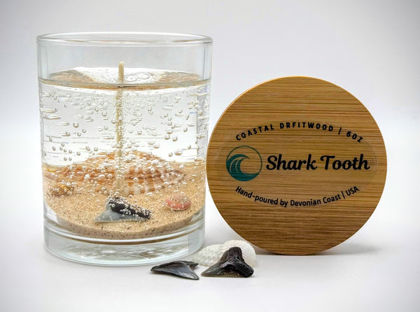 Shark Tooth Ocean Beach Clear Gel Candle