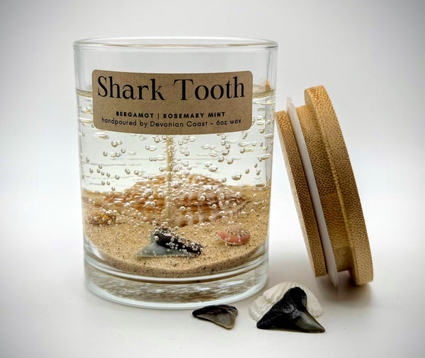 Shark Tooth Fossil Beach Gel Candle | Includes Real Shark Tooth!