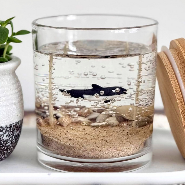 Orca Killer Whale Ocean Beach Clear Gel Candle