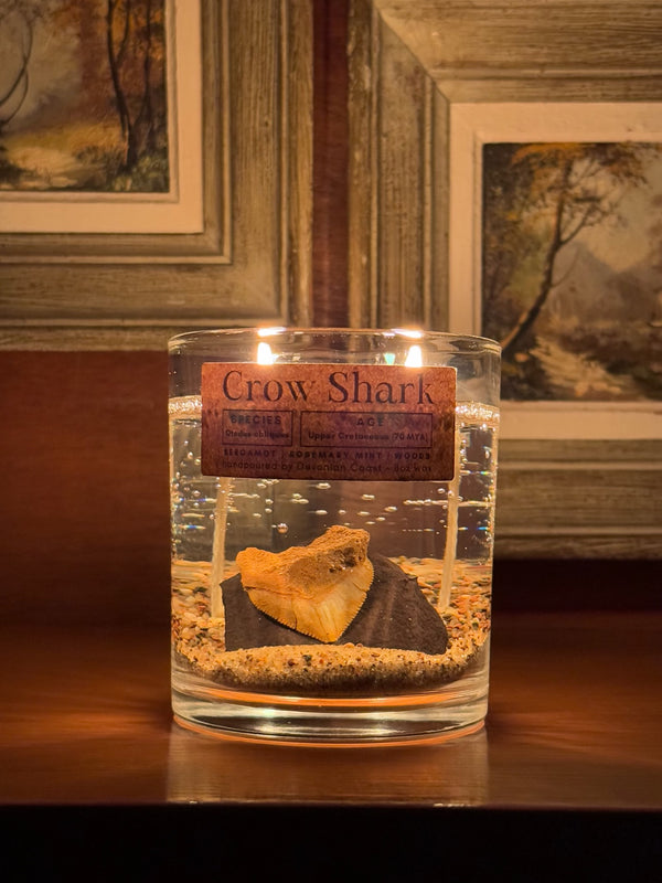 Crow Shark Tooth Gel Candle | Includes Real Fossil!