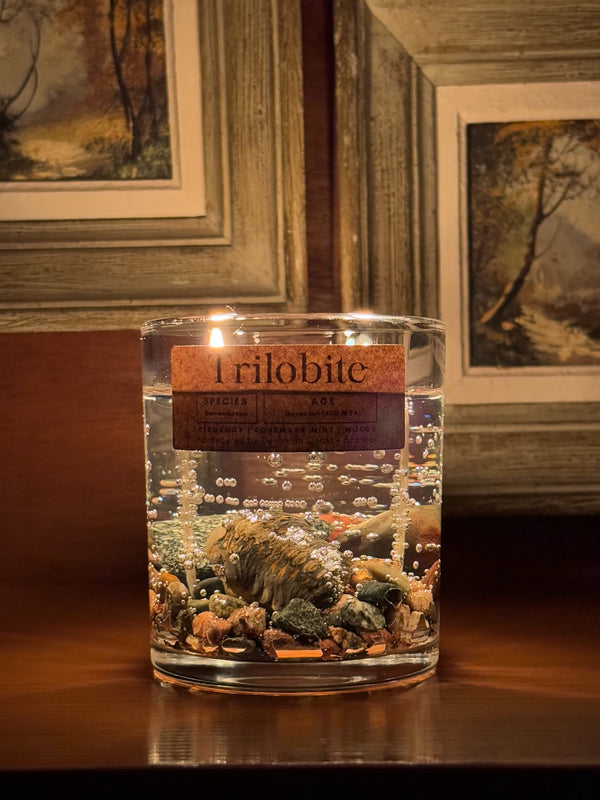 Trilobite Fossil Gel Candle | Includes Real Fossil!