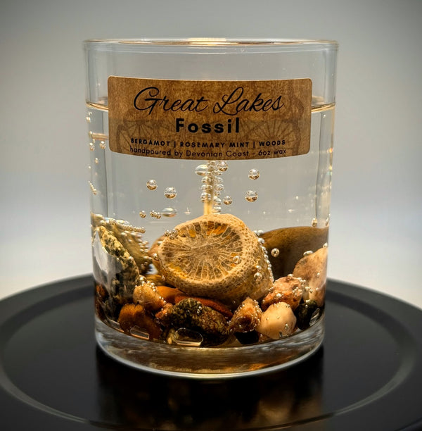 1-Wick Great Lakes Fossil Gel Candle