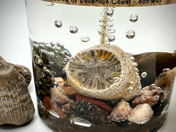 1-Wick Great Lakes Fossil Gel Candle