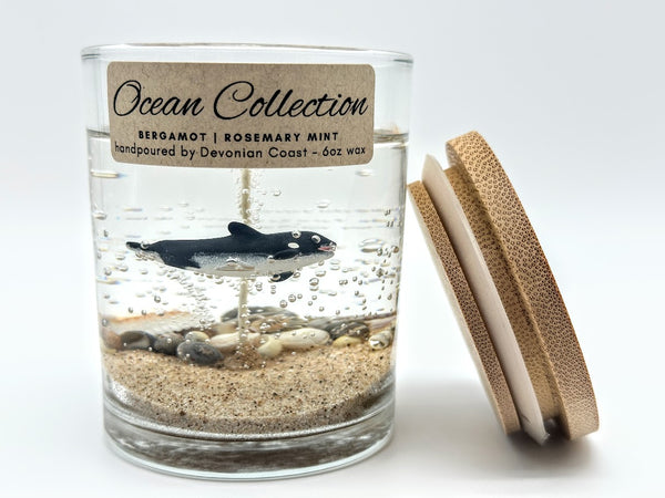 1-Wick Orca Killer Whale Beach Gel Candle