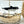 1-Wick Orca Killer Whale Beach Gel Candle