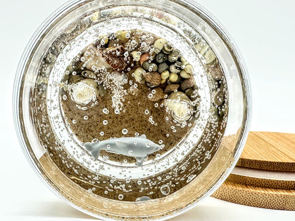 Double Wick Dolphin Ocean Beach Clear Gel Candle
