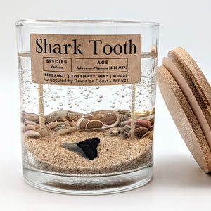 Glass candle with sand and shark tooth inside, labeled 'Shark Tooth', on a white background.