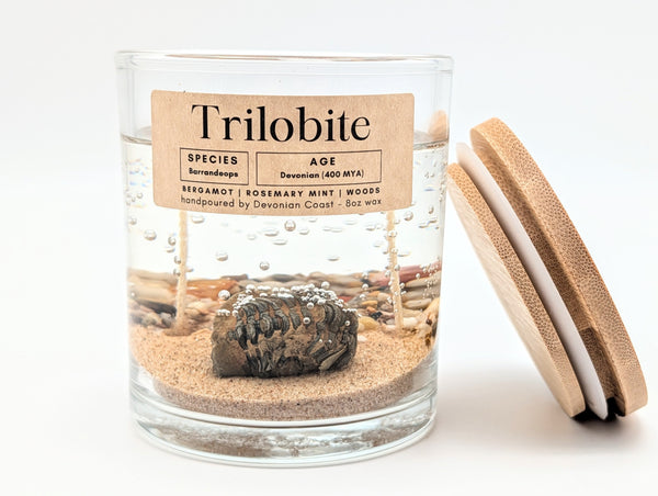 Trilobite Fossil Treasure Candle — Ancient Earth Collection