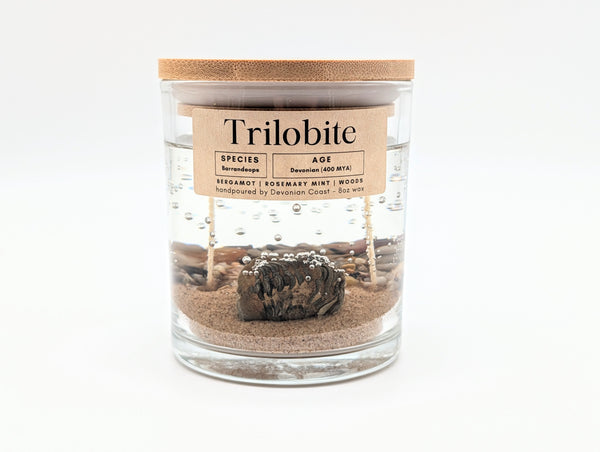 Trilobite Fossil Treasure Candle — Ancient Earth Collection