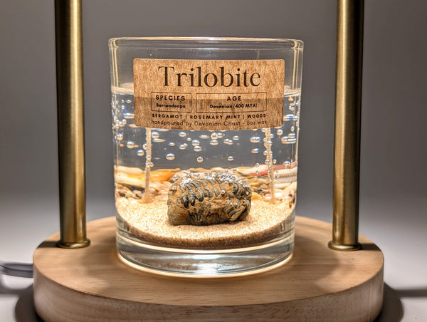 Trilobite Fossil Treasure Candle — Ancient Earth Collection