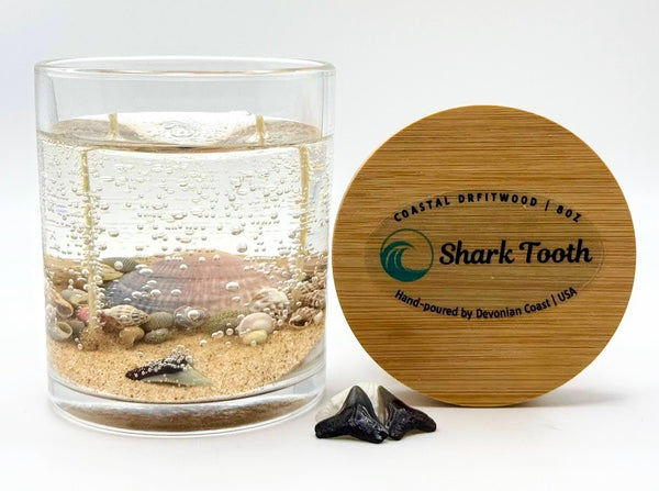 Shark Tooth Ocean Beach Clear Gel Candle