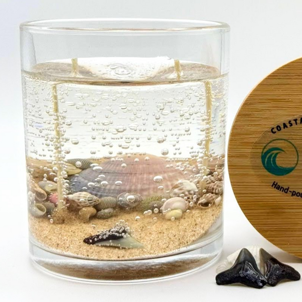 Shark Tooth Ocean Beach Clear Gel Candle